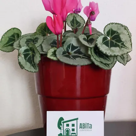 Abita Corticella - Comfortable In Appartement *
